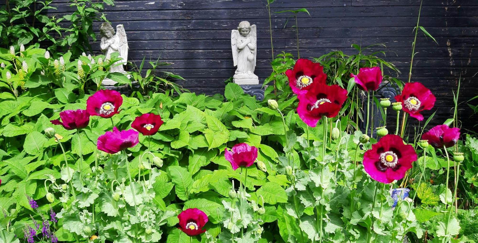 Tuinhuis Lutjewinkel 외부 사진